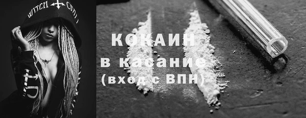 прущие грибы Карпинск