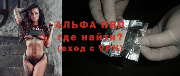 прущие грибы Карпинск