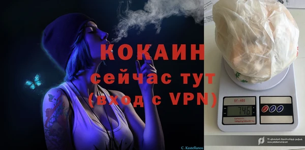 прущие грибы Карпинск