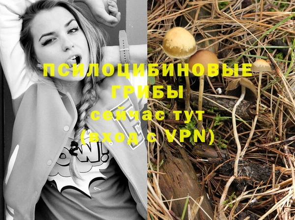каннабис Инта