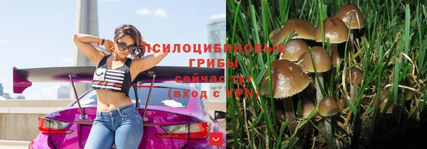 тгк Карталы