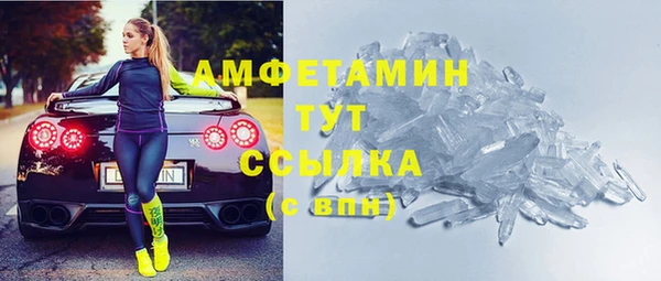 прущие грибы Карпинск